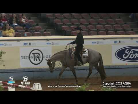 2021 AQHA Senior Trail
