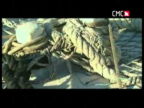 VINKO COCE - Oluja sa Sjevera.mpg