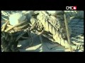 VINKO COCE - Oluja sa Sjevera.mpg 