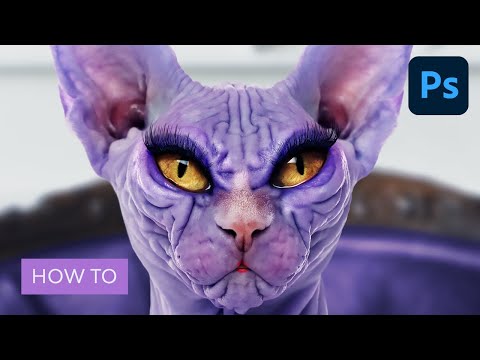 Photoshop for Beginners FREE COURSE