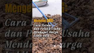 Download lagu Mengenal SRG: Cara Petani dan Pelaku Usaha Mendapat Harga Lebih Baik mp3