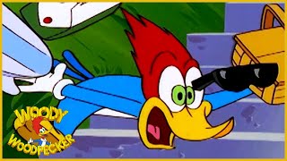 Woody Woodpecker Show | Beach Nuts | Full Episode | Cartoons For Children