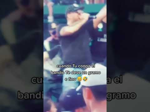 arte elegante tirando la pela porque roban en video clip! #arteelegante #viral #parati #fyp #musica