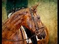 Animals 2015 Online Art Exhibition - Part 1 ...