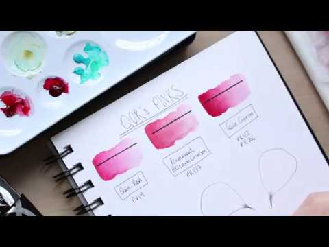 QOR Pinks: Swatches, Transparency Test + Geranium Petal Illustration