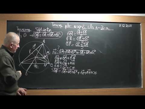 1/2 1656 Clasa 9 Calcul vectorial: Centru de greutate Ortocentru Centru cercului Inscris Circumscris