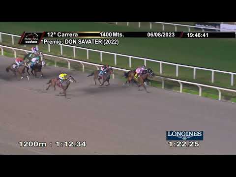 230806 c12 FLUTTERSHY (ARG)