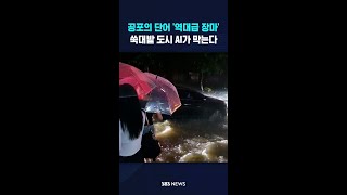 공포의 단어 '역대급 장마'..AI : 또 내 차례인가? #shorts