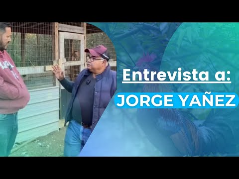 58.- Interview with Jorge Yáñez October 20, 2023