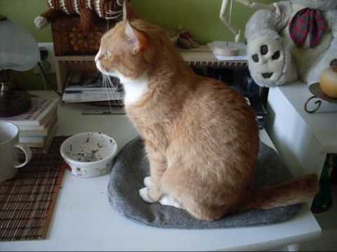 Ignaś i Zosia aka Filemon i Bonifacy ;)