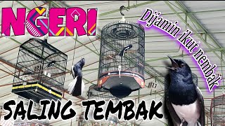 Download lagu SIMULASI LOMBA KACER mp3 Download lagu SIMULASI LOMBA KACER mp3