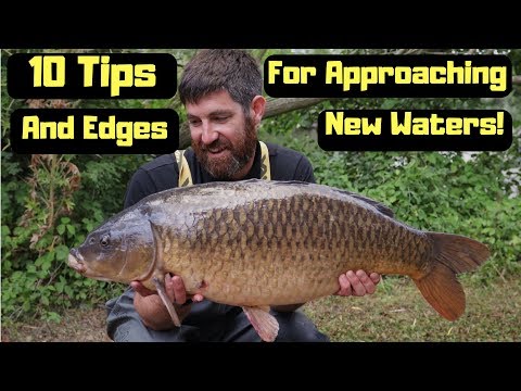 Carp Fishing Tips For New Waters