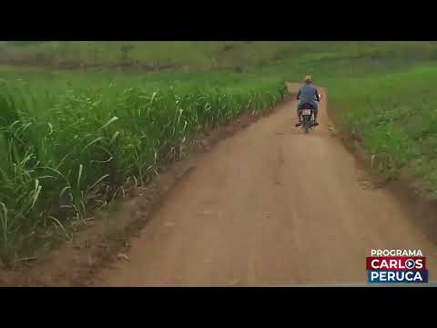 Blogueiro e radialista Carlos Peruca no mato em busca da notícia