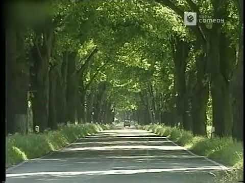 Die Harald Schmidt Show - Sabine Christiansen-Krötenwanderung