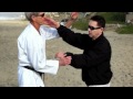 Bunkai From Ude Tanren