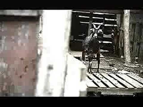 Wayne Wonder ft Lexxus & CNN - Anything Goes