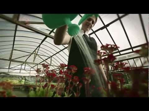 Programa 2 - Mulheres - 22/08/2012 - Noite