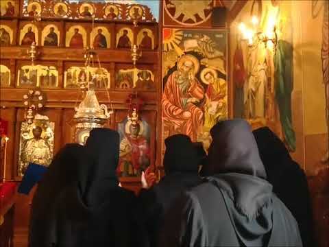 20180325 NICOLAE BALASOIU – DUMINICA 5 DIN POST – A CUVIOASEI MARIA EGIPTEANCA - BUNA VESTIRE