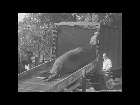Philadelphia Zoo slide 4