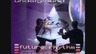 Digital Underground - Future Rhythm