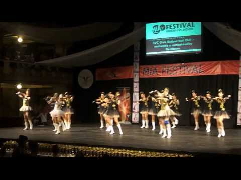 Mažoretky Budyně nad Ohří - MIA Festival 2016