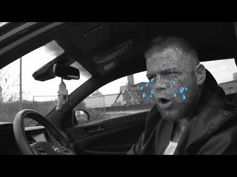 DANIEL GUN - PIT BULL MENTALITY VS REALITY