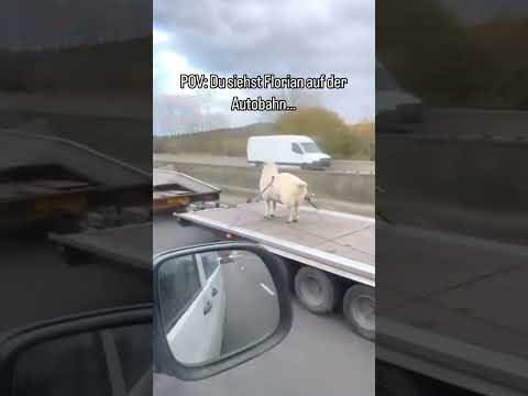 Unbelievable. #fyp #boss #work #florian #russkibrat55 #entertainment #viralvideo #foryou #viral #...