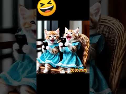 Laughing catieeee #fashion #trending #mens #new #shorts #watch  #womensfashion #kids #plants