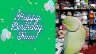 🎉 Kiwi's 9th Birthday Bash 🎉
