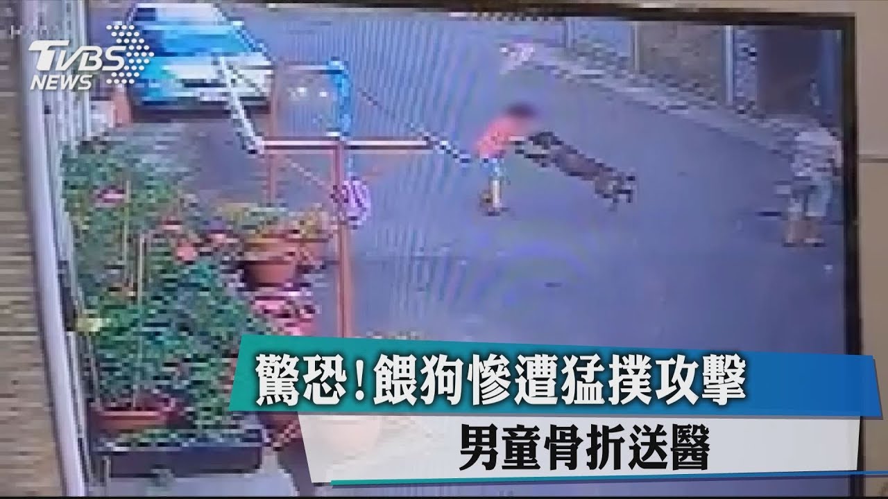 驚恐!餵狗慘遭猛撲攻擊 男童骨折送醫