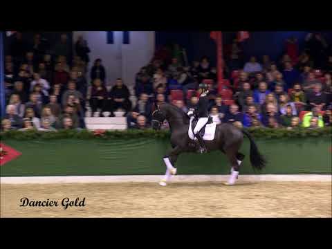 Dancier Gold und Diamond First nominiert für die WM in Verden!!!