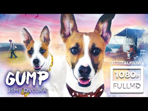 Gump - jsme dvojka (2024) HD trailer