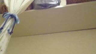 荒野行動ライブ