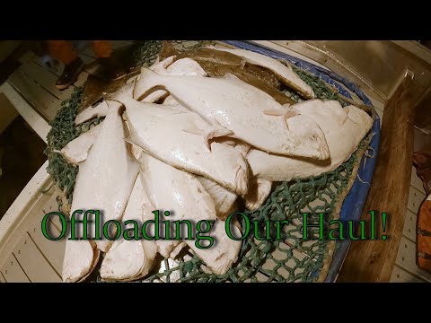 Traveling Home and Offloading the Catch