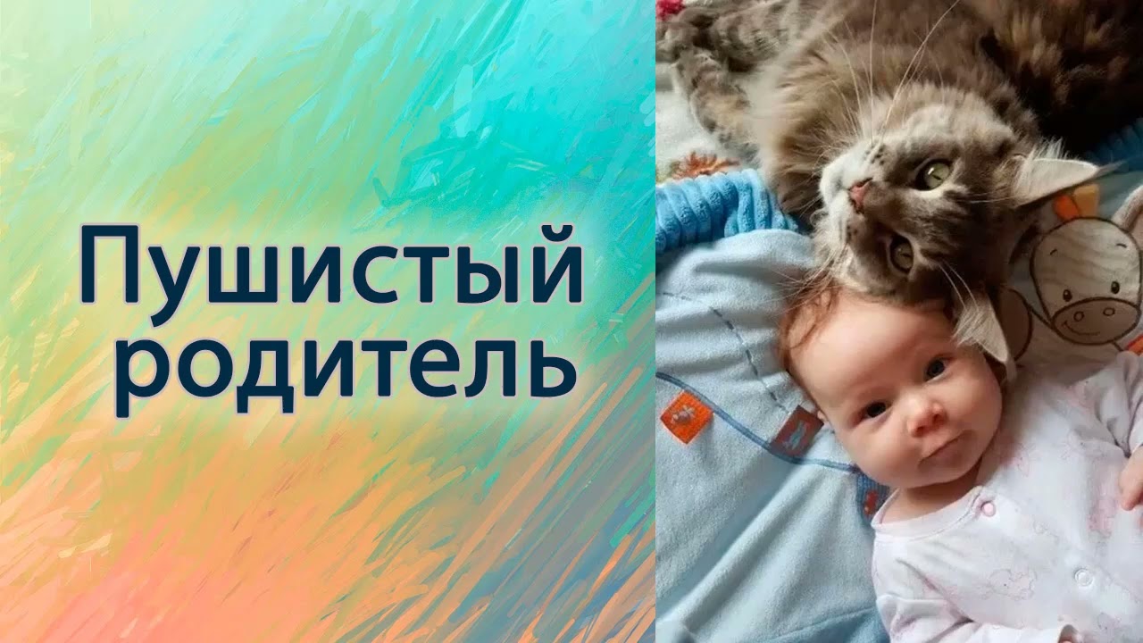 Пушистый родитель.