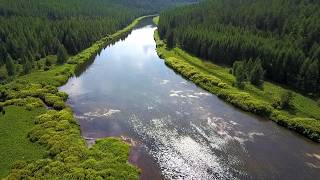 Рыбалка на реке илим иркутская область