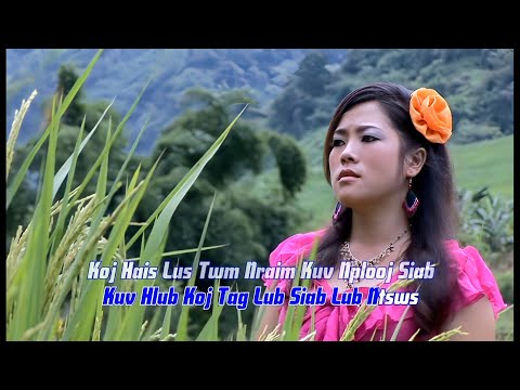 Dej Sab Si (Maiv Ntxawm Tsab) - Koj Tsuas Muaj Nqis Ntawm Kuv - 2011