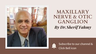 Dr. Sherif Fahmy - Maxillary nerve & Otic ganglion