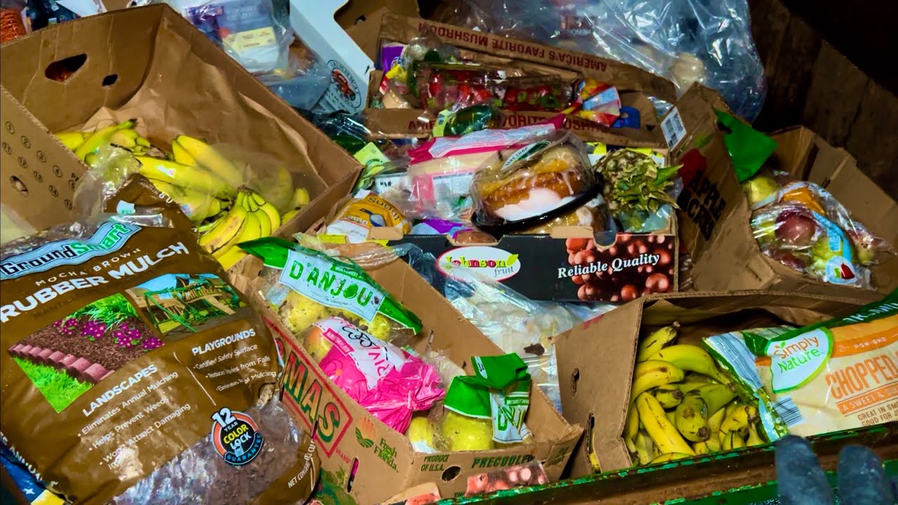 Dumpster Diving Aldi #95 This Dumpster Was FULL!!