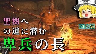 聖樹への道を封鎖？？新ボス『卑兵の長』出現！！【エルデンリング The Convergence v3.0】#8