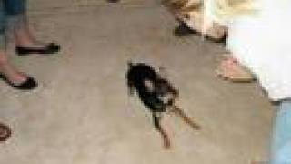 Carrie Underwood - Get Out of this Town