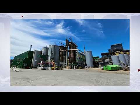 Alimar alerta que planta de congelados en Lota peligraría por Ley de Fraccionamiento