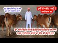 ਸਾਹੀਵਾਲ ਗਾਵਾਂ - Sahiwal cow farm - dairy farm @ILTILANATV