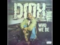DMX - Who We Be (reggae version) 