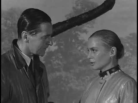 Dog Chasing Sun ~ Dust to Dust