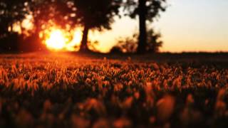 Ringo Starr - Photograph [HD] + lyrics