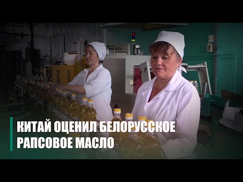 Поднебесная предпочла белорусское рапсовое масло видео