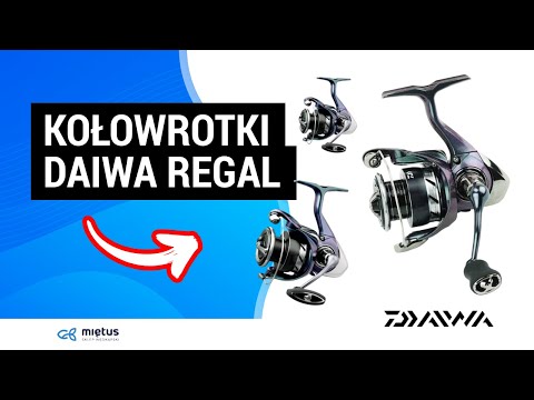 Kołowrotek Daiwa 24 Regal LT 4000D-CXH film wideo