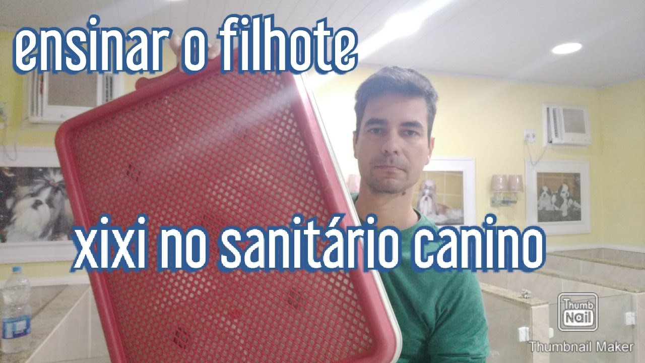 Como usar o Sanitário Canino de forma correta