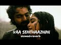 Vaa Senthaazhini  ( slowed + reverb) | Adiye